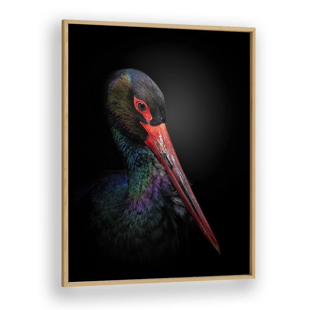 THE BLACK STORK