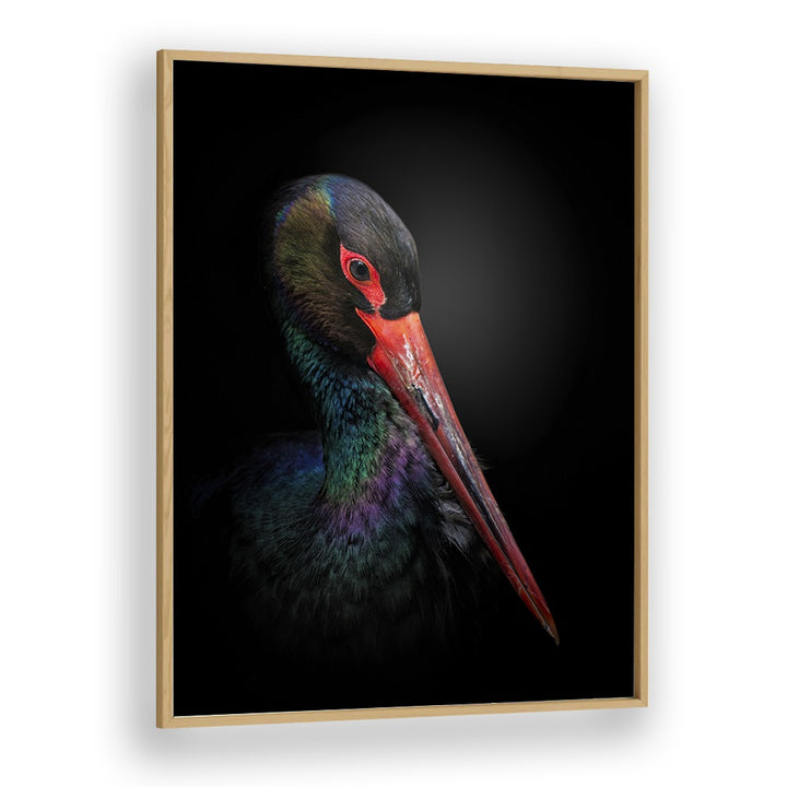 Christian Meermann painting - THE BLACK STORK by Asianmonk