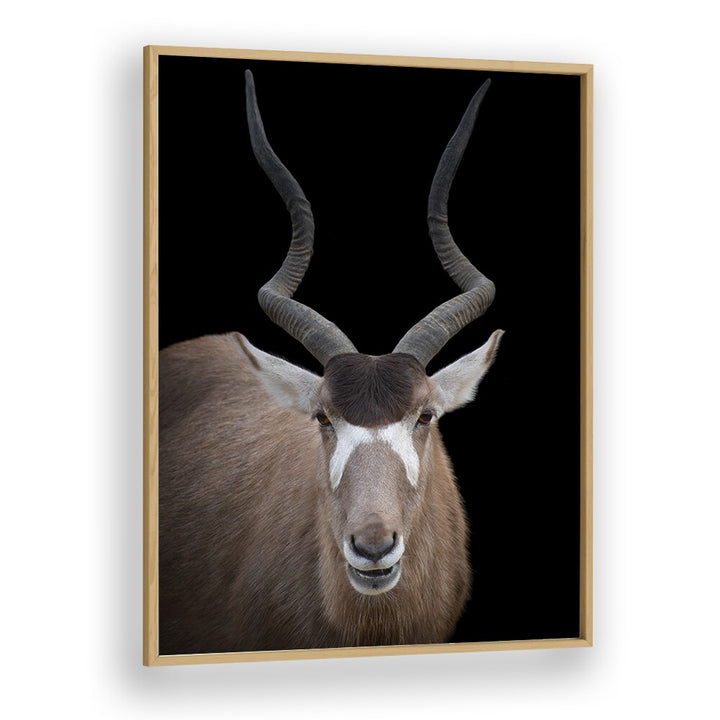 Christian Meermann painting - ADDAX NASOMACULATUS PORTRAIT by Asianmonk