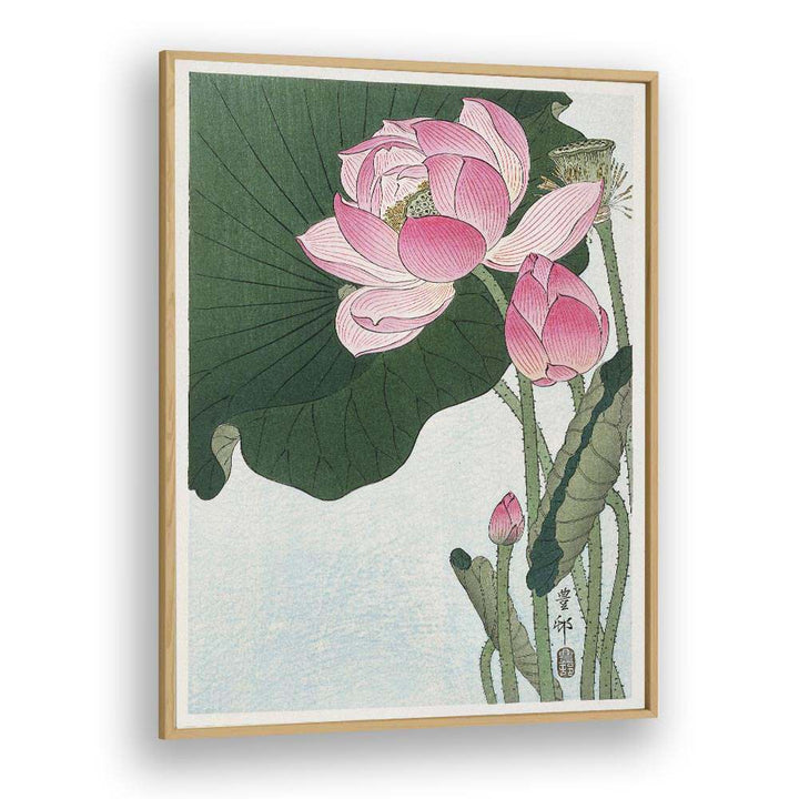 Ohara Koson painting - BLOOMING LOTUS FLOWERS (1920 - 1930) by Asianmonk