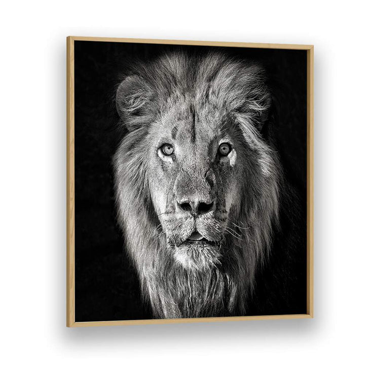 chre painting - LION PORTRAIT- PANTHERA LEO by Asianmonk