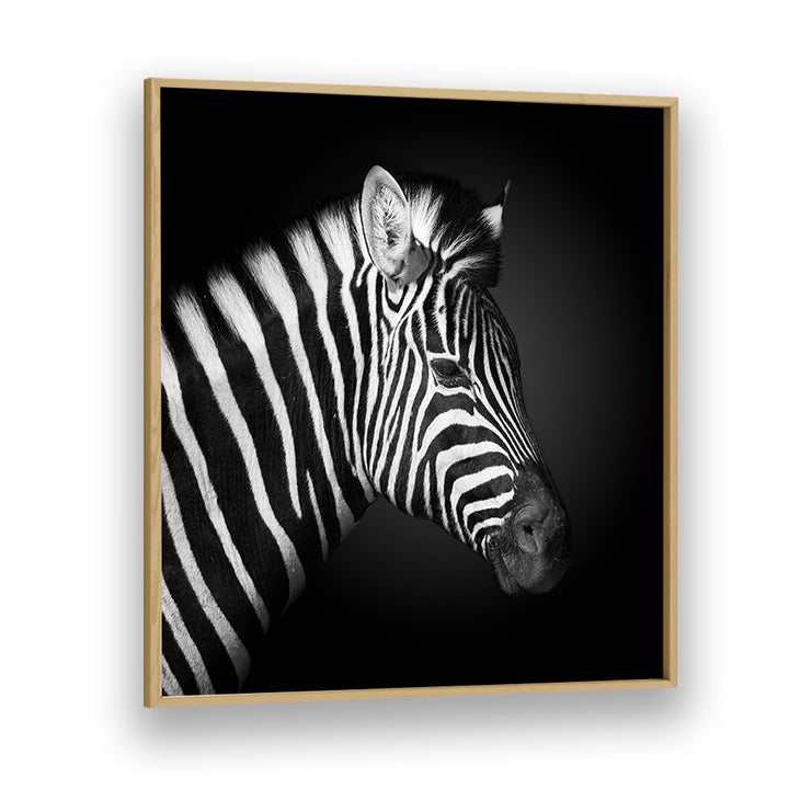 chre painting - ZEBRA BY FEGARI by Asianmonk