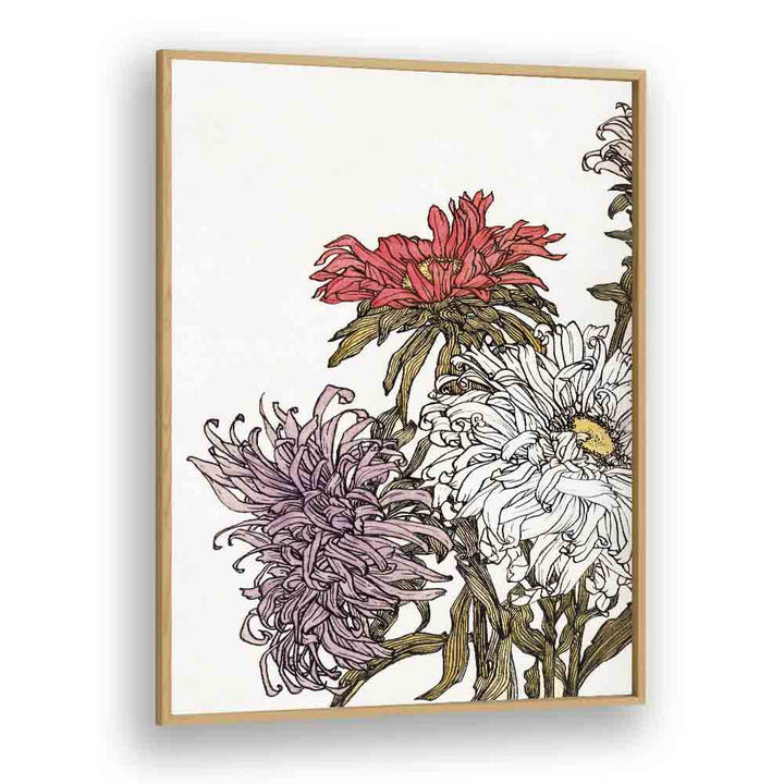 CHRYSANTHEMUMS