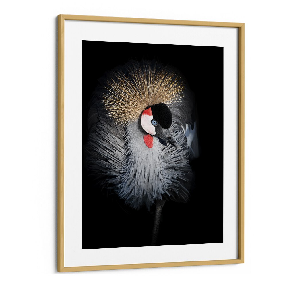 Christian Meermann painting - GREY CROWNED CRANE PORTRAIT by Asianmonk