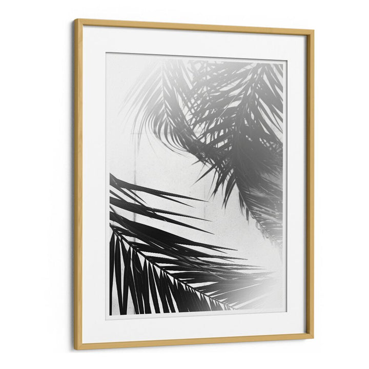 Ritvik Takkar painting - SUMMER PALMS by Asianmonk