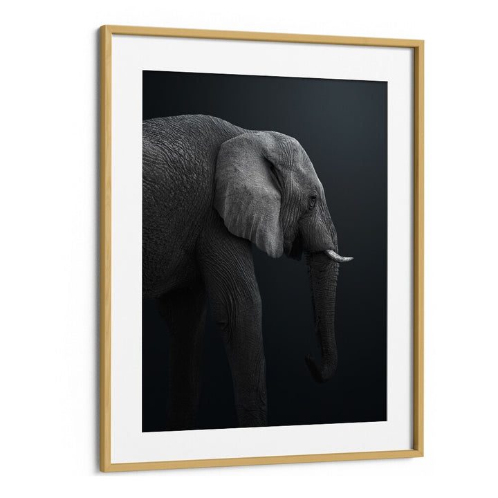 Christian Meermann painting - NAMIBIAN ELEPHANT by Asianmonk