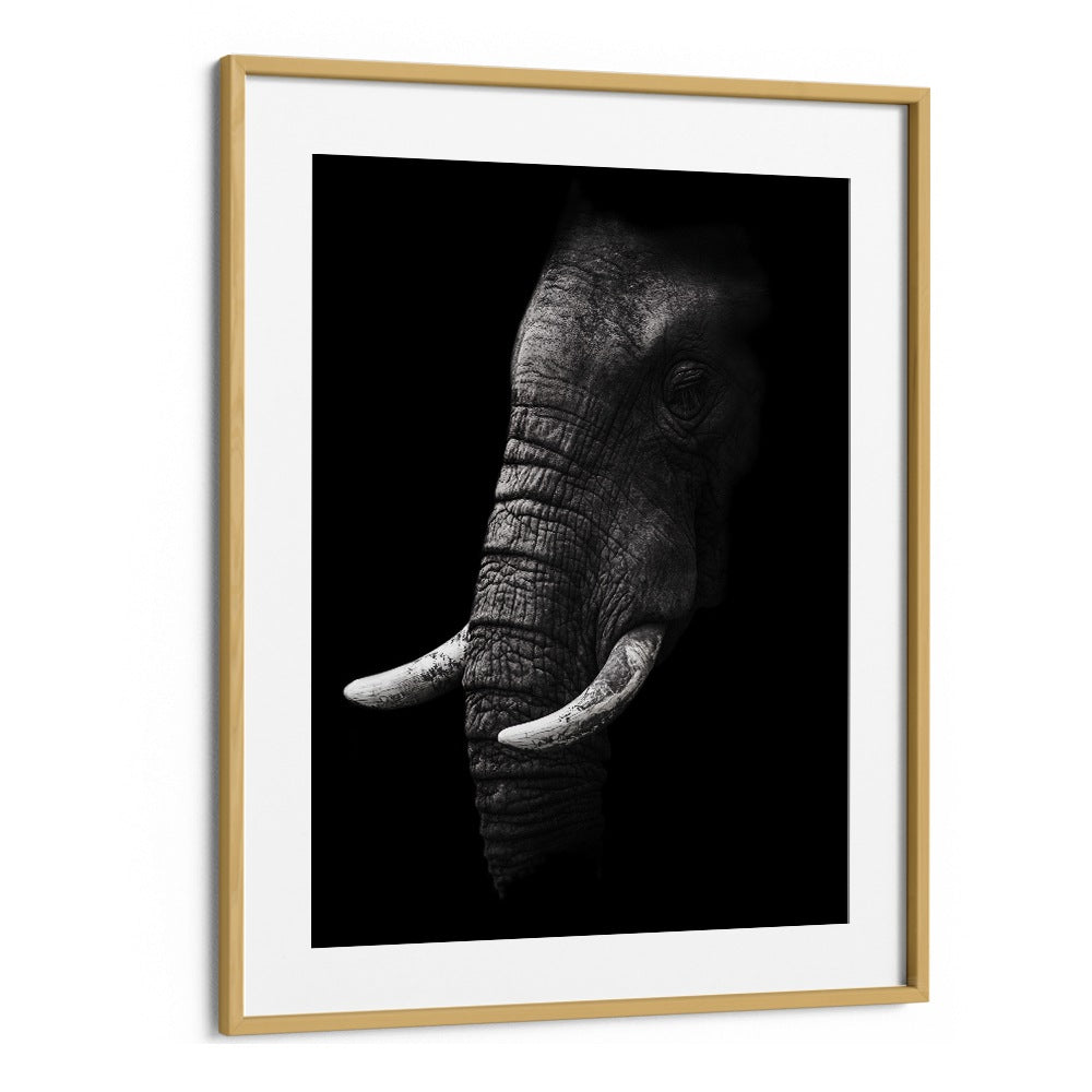 WILD PHOTO ART painting - PORTRAIT OF A ELEPHANT by Asianmonk