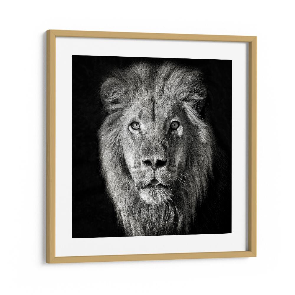 chre painting - LION PORTRAIT- PANTHERA LEO by Asianmonk