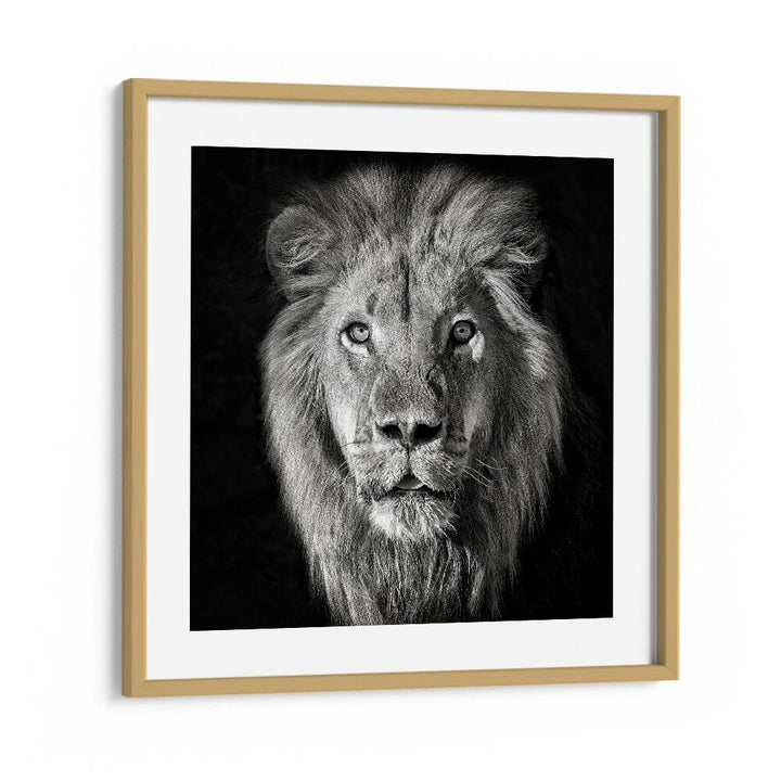 chre painting - LION PORTRAIT- PANTHERA LEO by Asianmonk