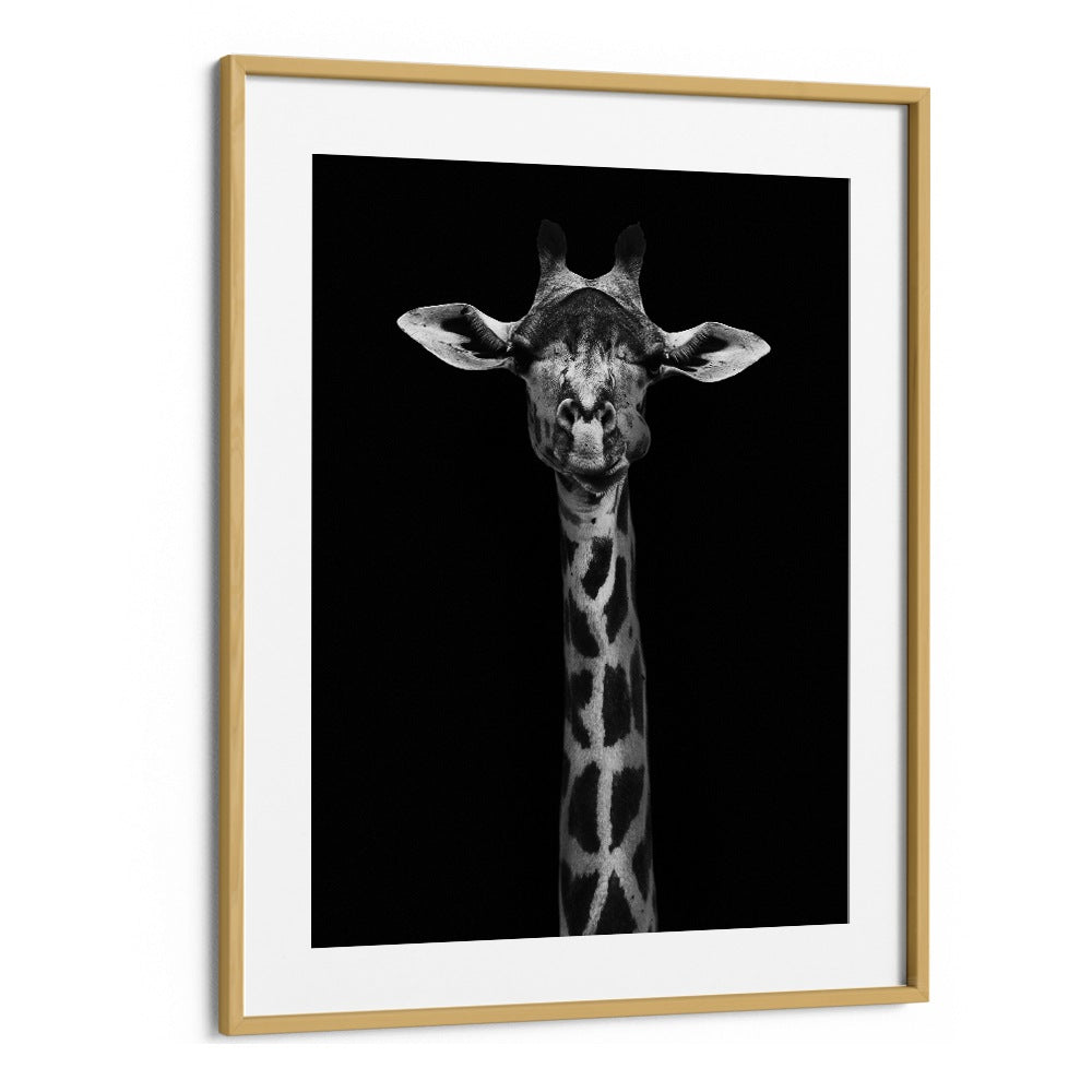 GIRAFFE PORTRAIT