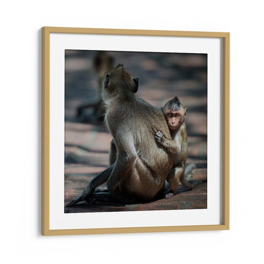 chre painting - BABY MONKEY by Asianmonk