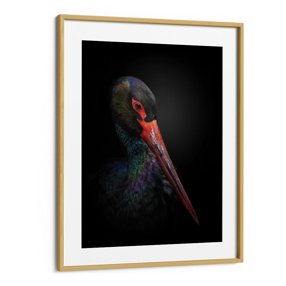 Christian Meermann painting - THE BLACK STORK by Asianmonk