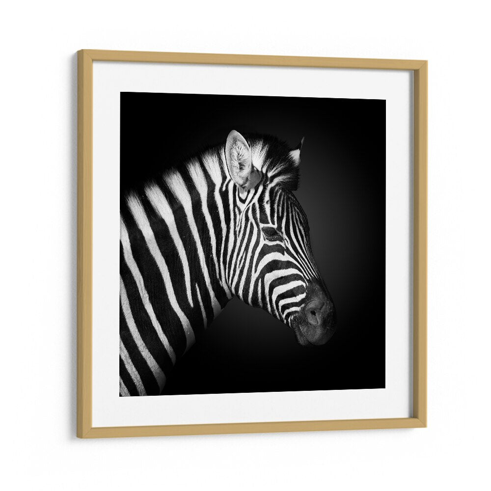 chre painting - ZEBRA BY FEGARI by Asianmonk