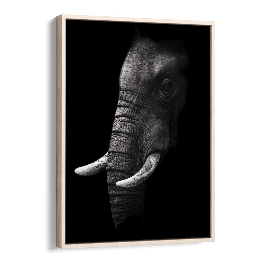 WILD PHOTO ART painting - PORTRAIT OF A ELEPHANT by Asianmonk