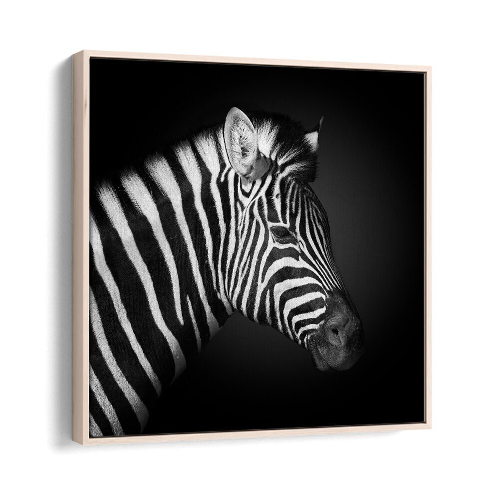 chre painting - ZEBRA BY FEGARI by Asianmonk