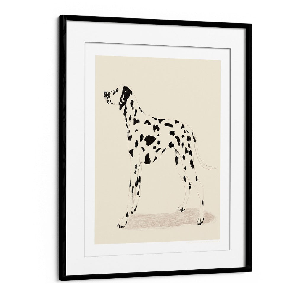  pandc dalmation wildlife paintings in Black Frame With Mount