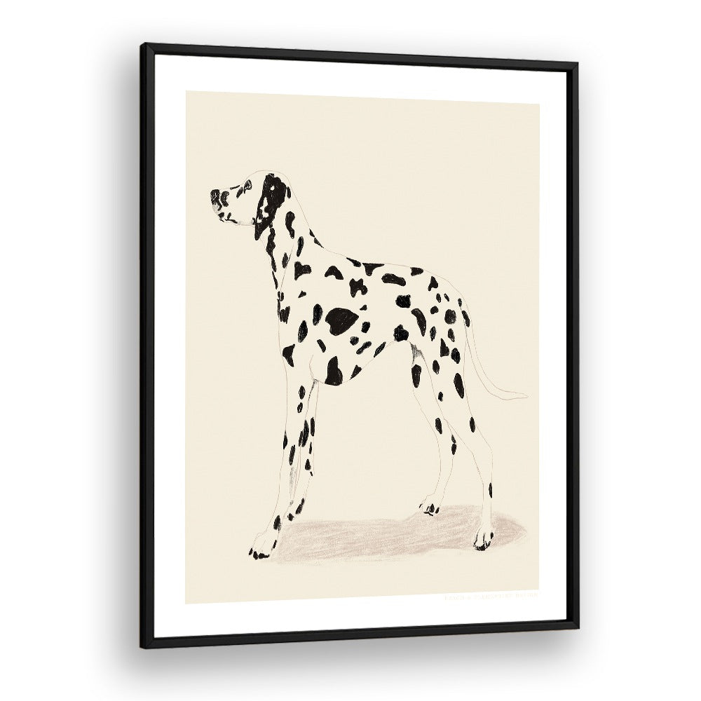  pandc dalmation wildlife paintings in Black Plain Frame