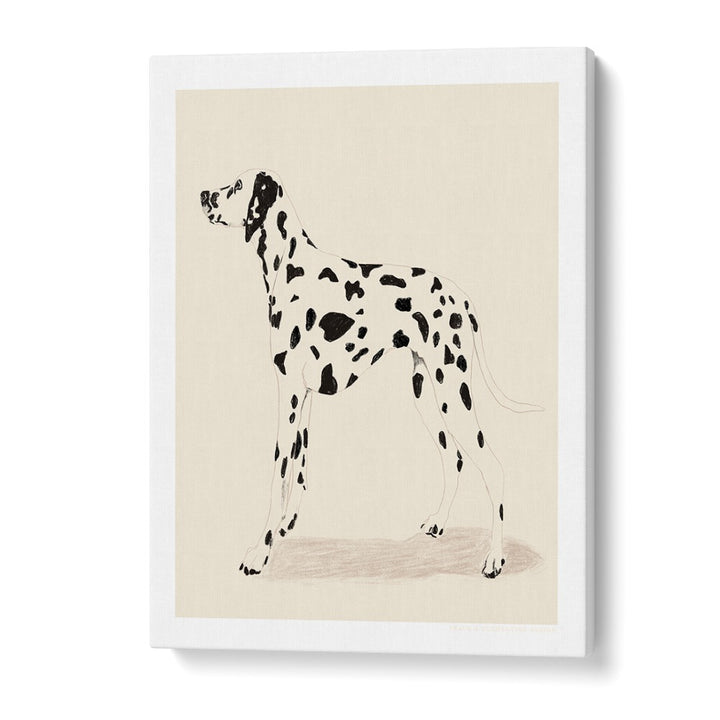  pandc dalmation wildlife paintings in Gallery Wrap