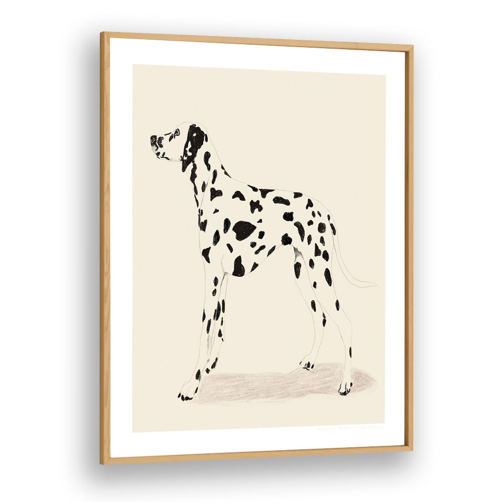  pandc dalmation wildlife paintings in Oak Wood Plain Frame