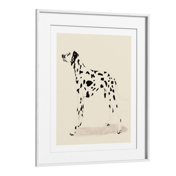  pandc dalmation wildlife paintings in White Frame With Mount