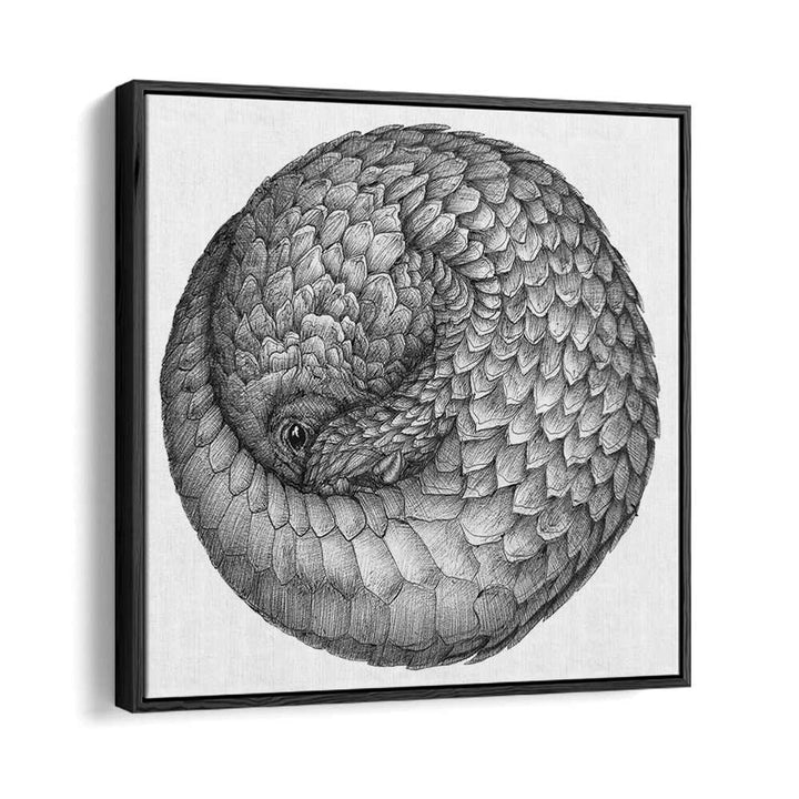 pangolin ball original Wildlife paintings in Black Floater Frame