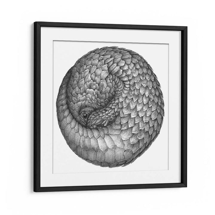 pangolin ball original Wildlife paintings in Black Frame With Mount