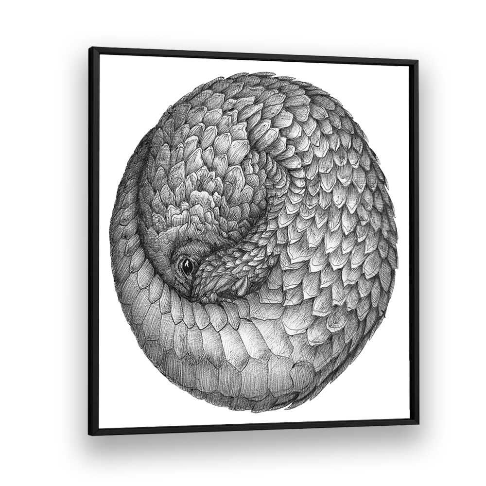 pangolin ball original Wildlife paintings in Black Plain Frame