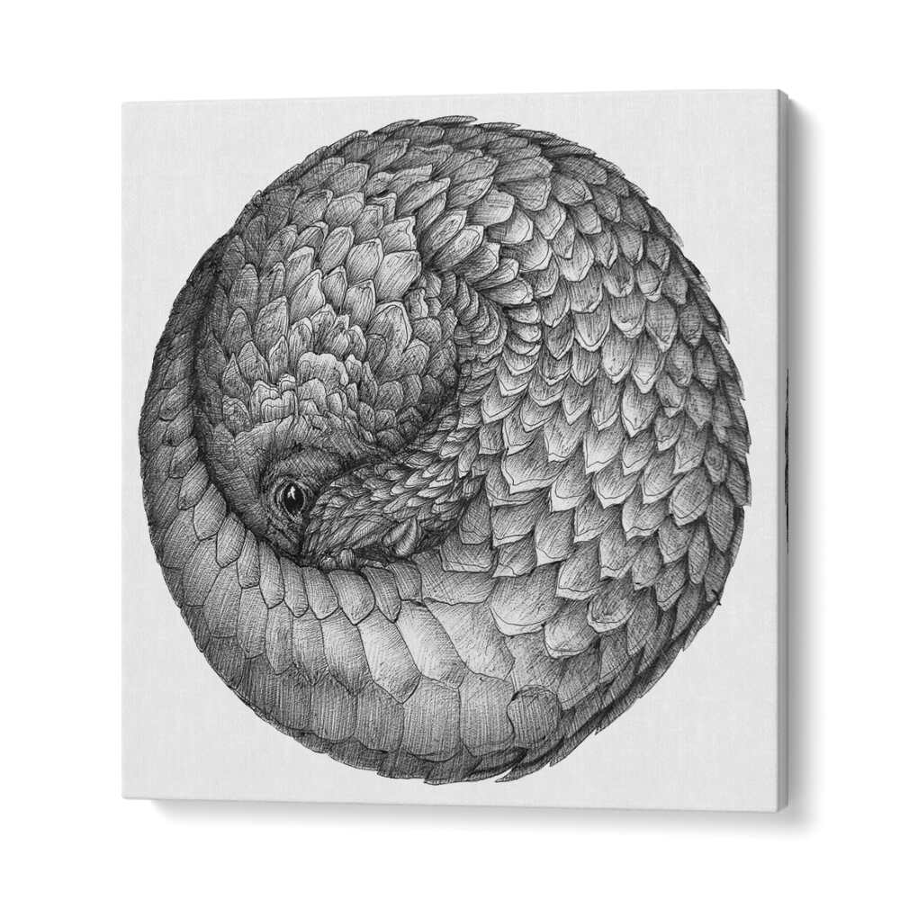 pangolin ball original Wildlife paintings in Gallery Wrap