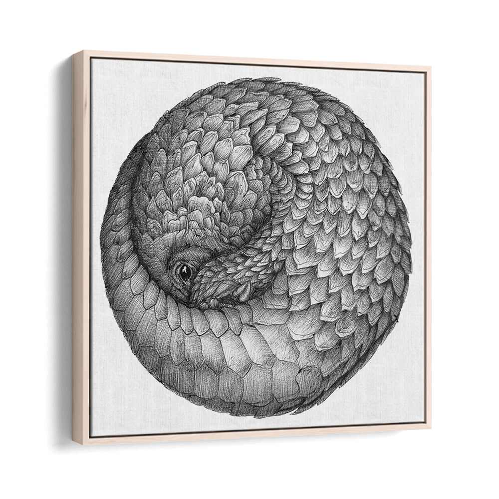 pangolin ball original Wildlife paintings in Oak Wood Floater Frame