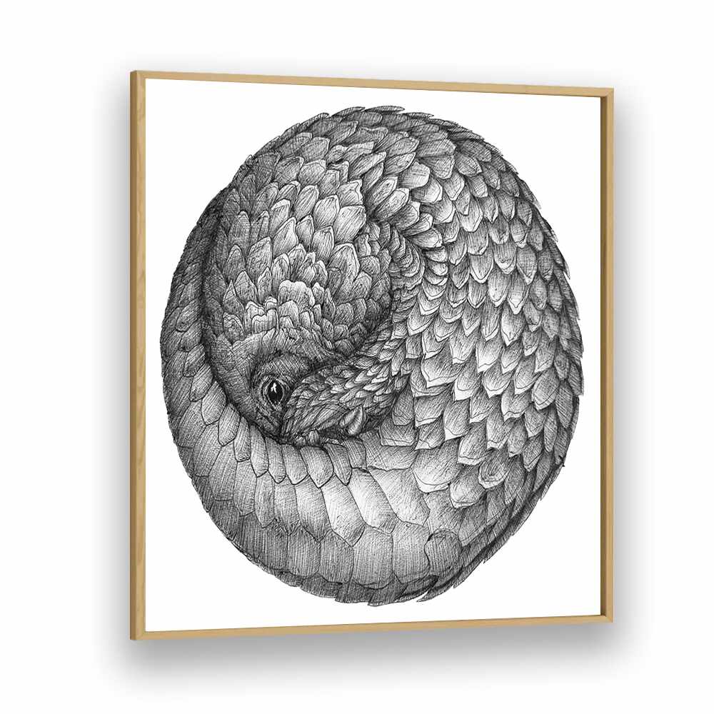 pangolin ball original Wildlife paintings in Oak Wood Plain Frame