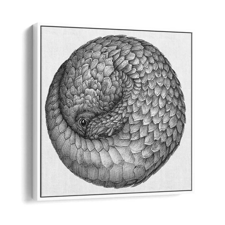 pangolin ball original Wildlife paintings in White Floater Frame