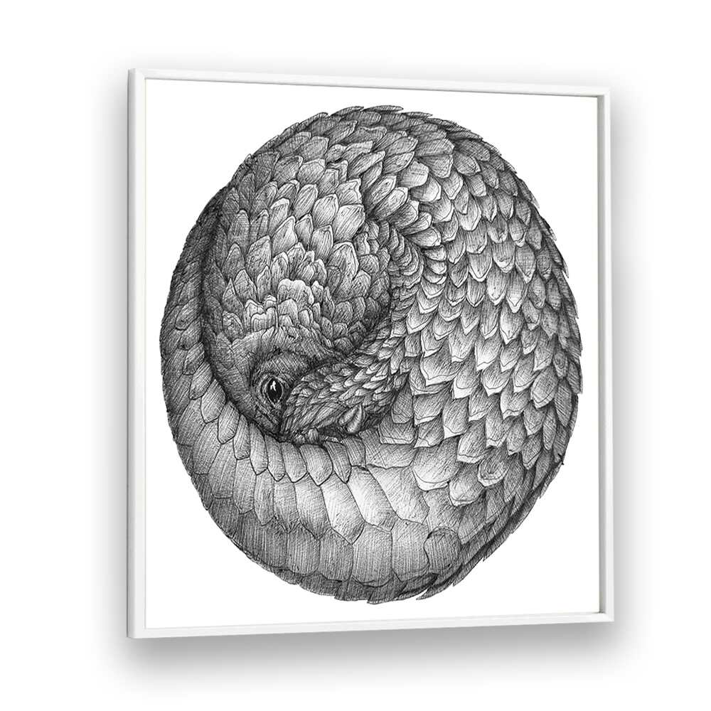 pangolin ball original Wildlife paintings in White Plain Frame