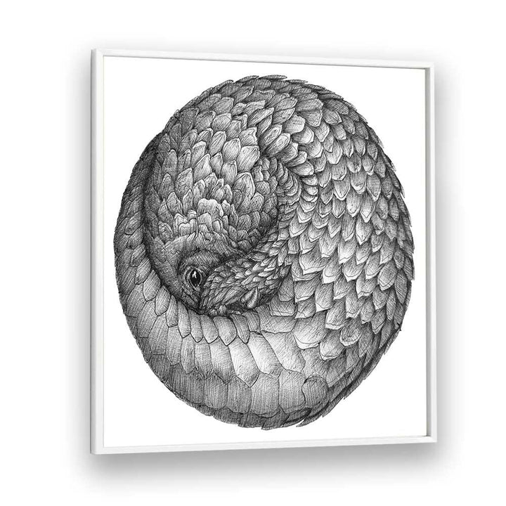 pangolin ball original Wildlife paintings in White Plain Frame