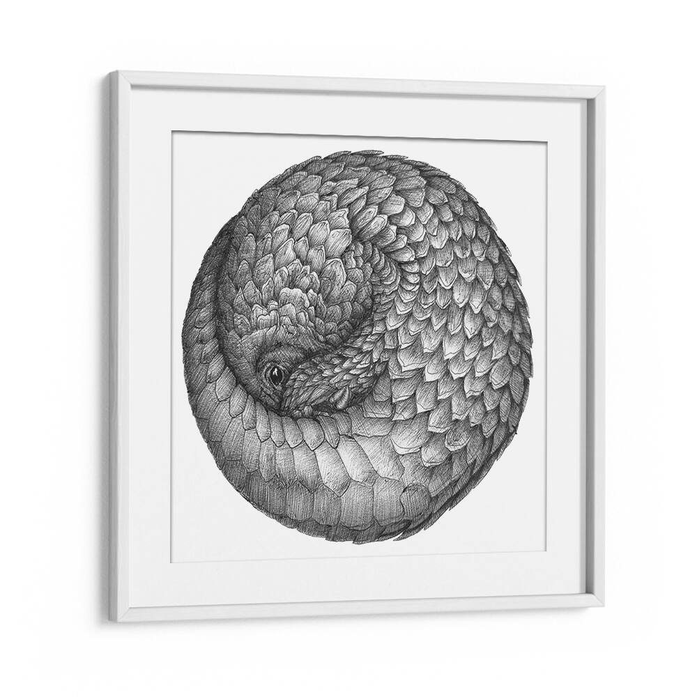 pangolin ball originalWildlife paintings in White Frame With Mount