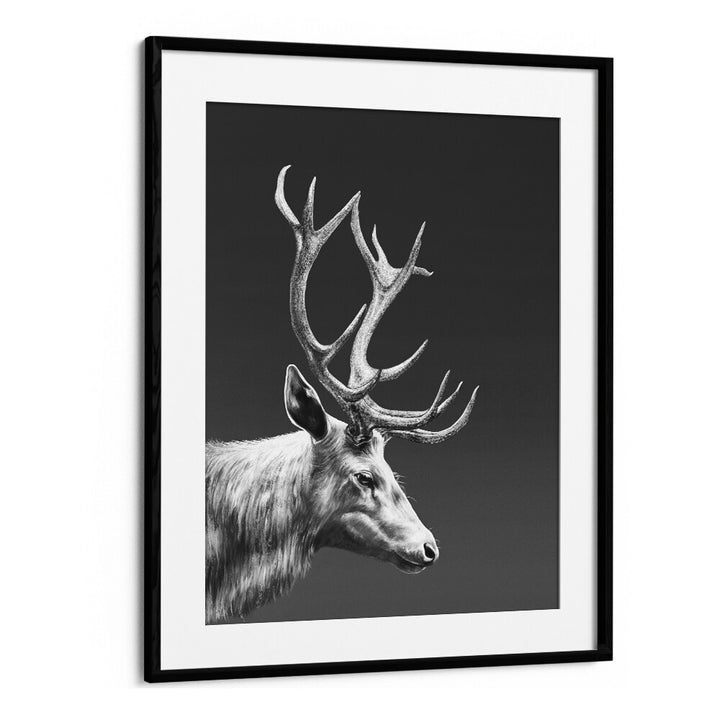 reindeer by gabriella roberg wall art prints in Black Frame With Mount