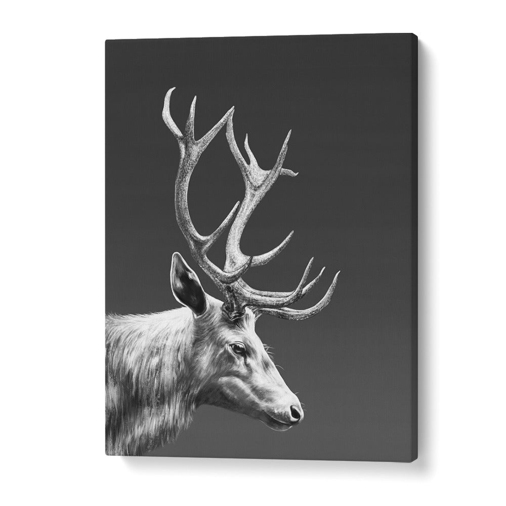 reindeer by gabriella roberg wall art prints in Gallery Wrap