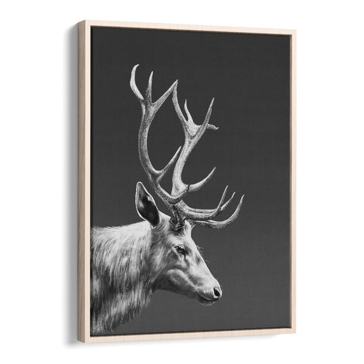 reindeer by gabriella roberg wall art prints in Oak Wood Floater Frame