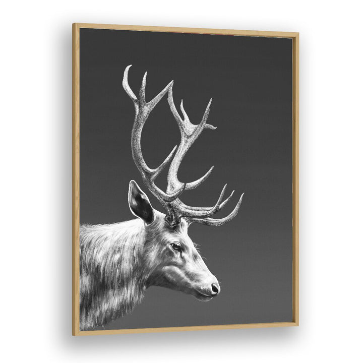 reindeer by gabriella roberg wall art prints in Oak Wood Plain Frame