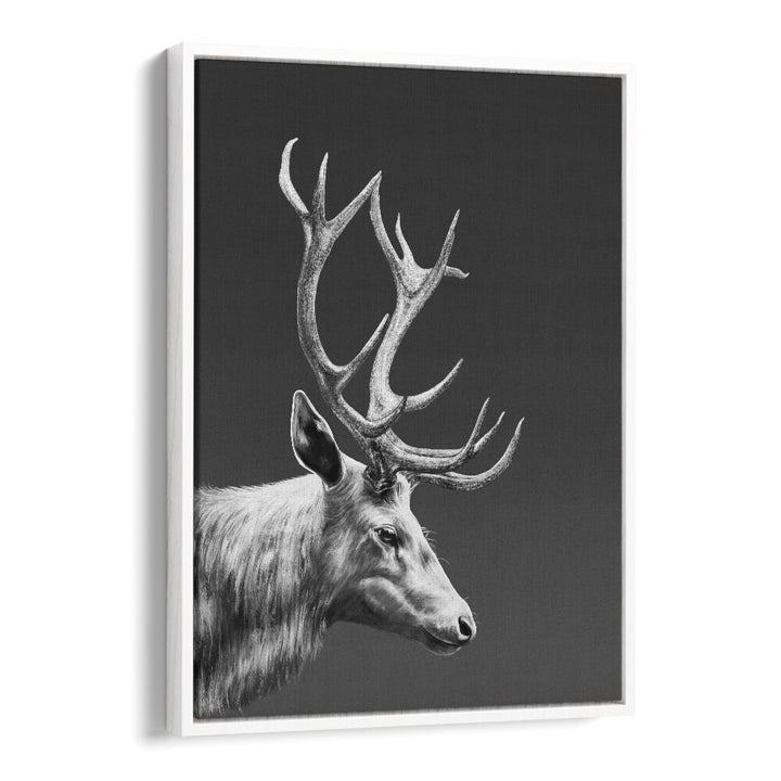 reindeer by gabriella roberg wall art prints in White Floater Frame