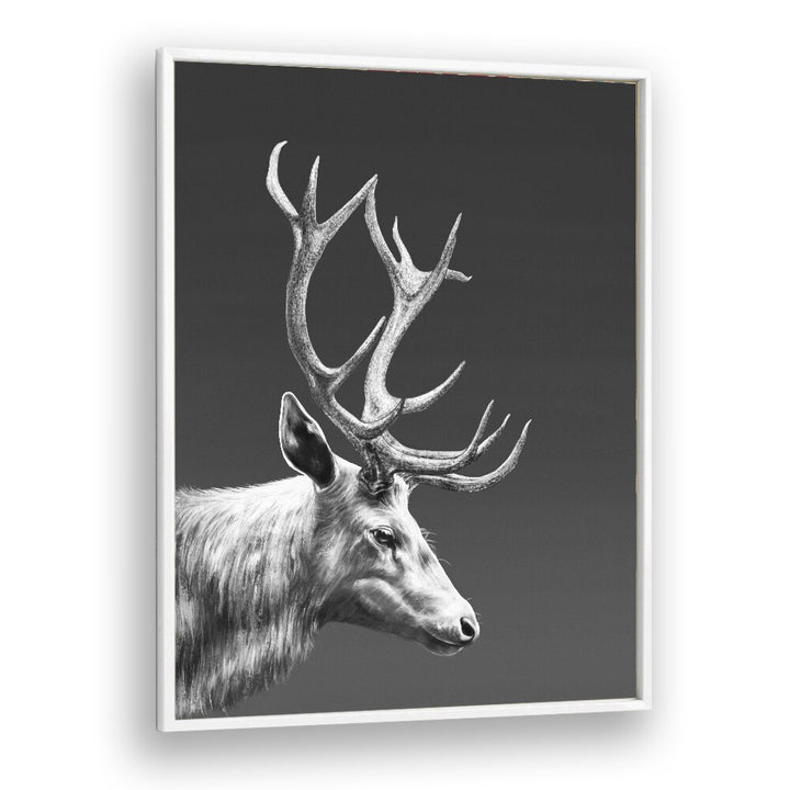 reindeer by gabriella roberg wall art prints in White Plain Frame