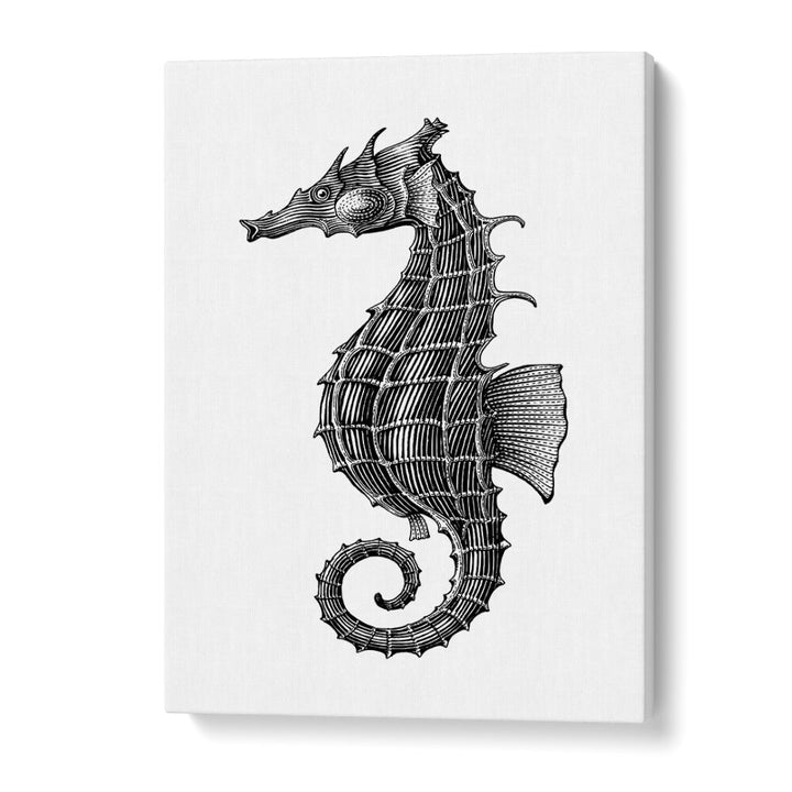 seahorse by jay stanley geometric art paintings in Gallery Wrap