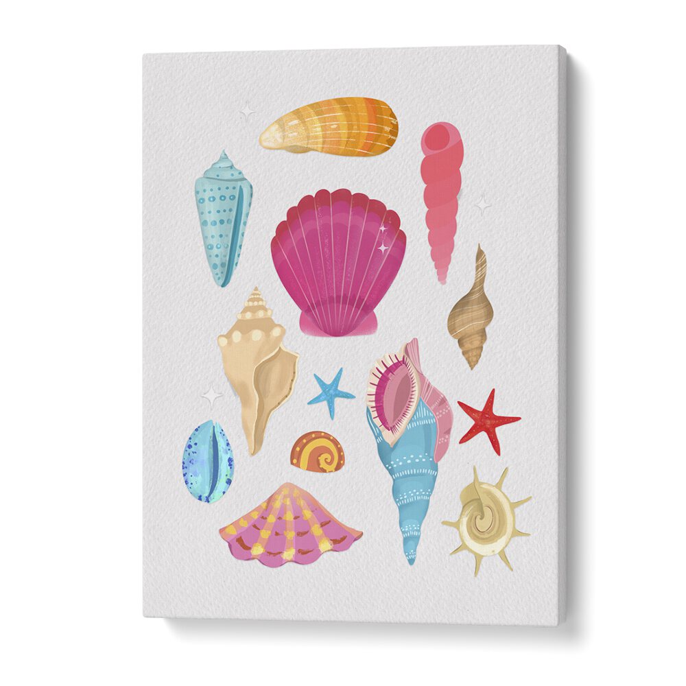 seashells by petra lidze beach prints in Gallery Wrap