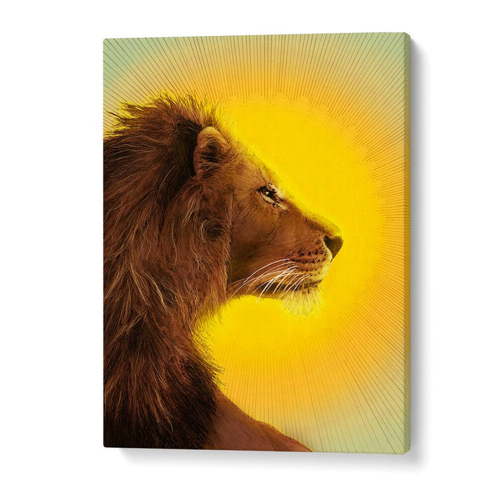 sun and lion colour Vintage paintings in Gallery Wrap