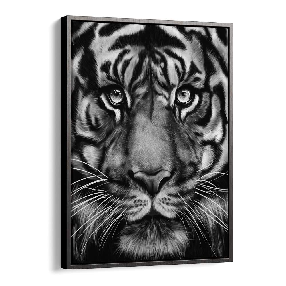 tiger by gabriella roberg wildlife paintings wildlife posters in Black Floater Frame