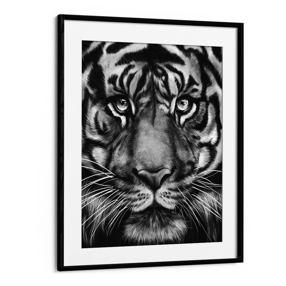 tiger by gabriella roberg wildlife paintings wildlife posters in Black Frame With Mount