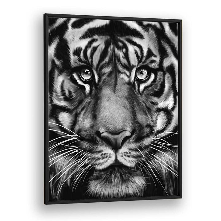 tiger by gabriella roberg wildlife paintings wildlife posters in Black Plain Frame