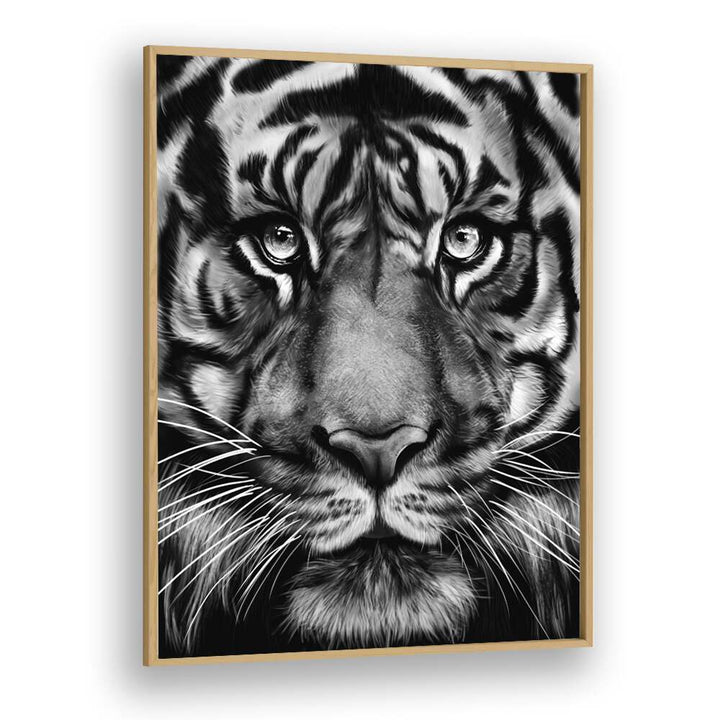 tiger by gabriella roberg wildlife paintings wildlife posters in Oak Wood Plain Frame