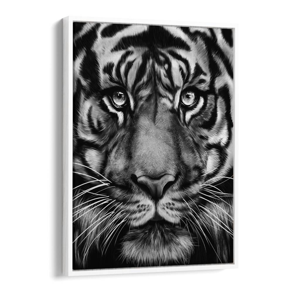 tiger by gabriella roberg wildlife paintings wildlife posters in White Floater Frame