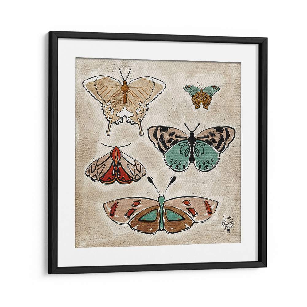 vintage butterflies wildlife painttings in Black Frame With Mount