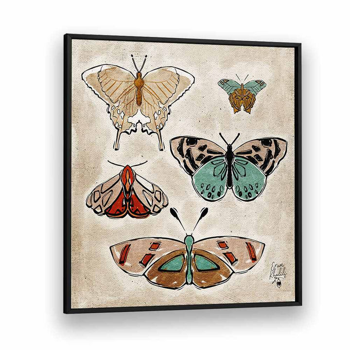 vintage butterflies wildlife painttings in Black Plain Frame